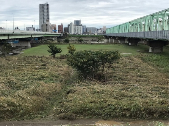 <台風の通過後>